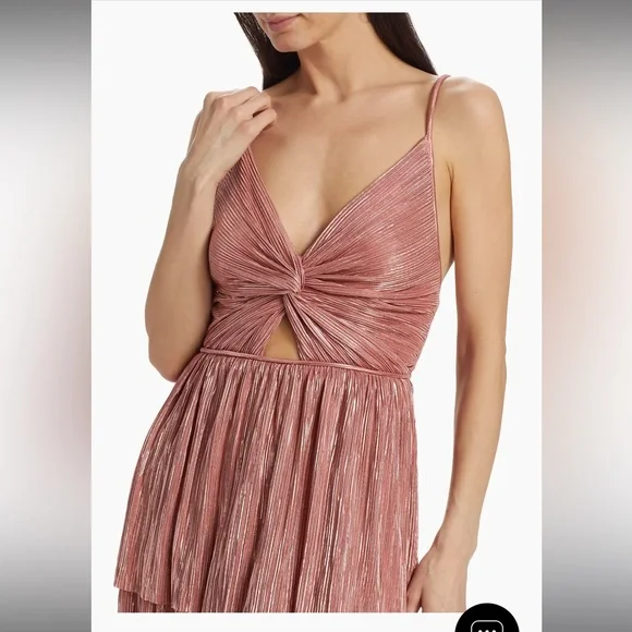 Sabina Musayev Pink Maxi Dress - Picture 5 of 6